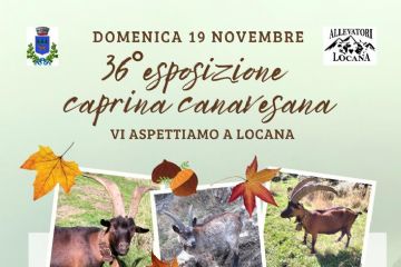 36^ Esposizione caprina Canavesana