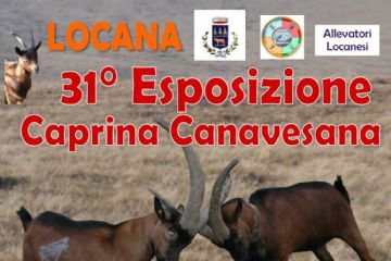 31^ Esposizione Caprina Canavesana