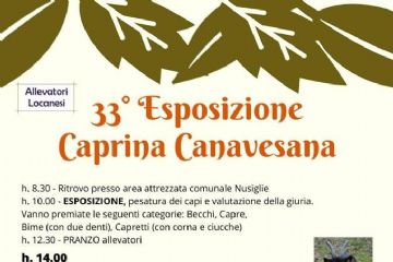 33^ Esposizione Caprina Canavesana