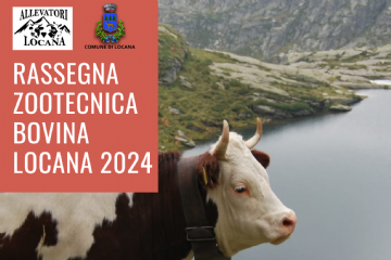 Rassegna zootecnica bovina Locana 2024