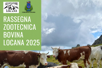 Rassegna zootecnica bovina Locana 2025