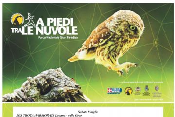 A Piedi tra le Nuvole - Sos Trota Marmorata