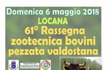 61^ Rassegna zootecnica bovina pezzata valdostana