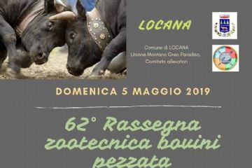62^ Rassegna zootecnica bovini pezzata valdostana