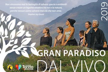 Gran Paradiso dal Vivo