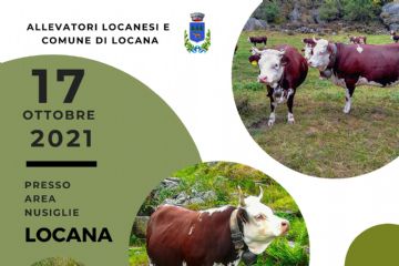 Rassegna zootecnica bovina 2021