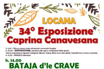 34^ Esposizione caprina Canavesana