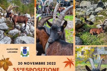 35&#176; ESPOSIZIONE CAPRINA CANAVESANA