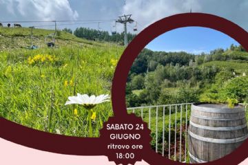 CALICI ALLA CIALMA